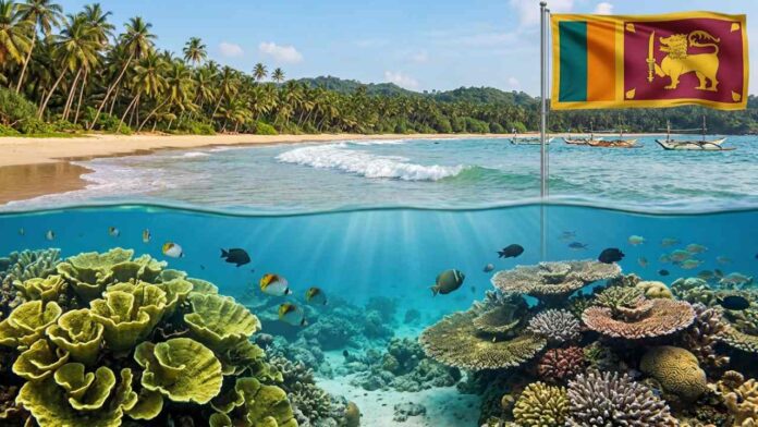 Sri Lanka races to save the 245 coral species treasure found along the eastern coast! But can they survive climate threats?