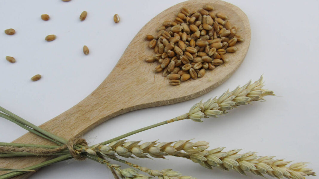 Could Eating More Whole Grains Every Day Protect Your Heart?