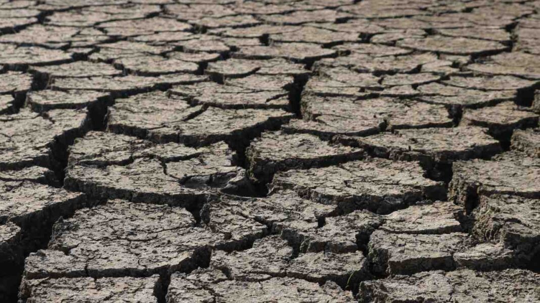 Sri Lanka Faces a Dual Challenge as Drought Threatens Farms and New Food Safety Policy Takes Shape