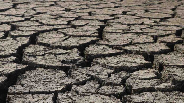 Sri Lanka Faces a Dual Challenge as Drought Threatens Farms and New Food Safety Policy Takes Shape