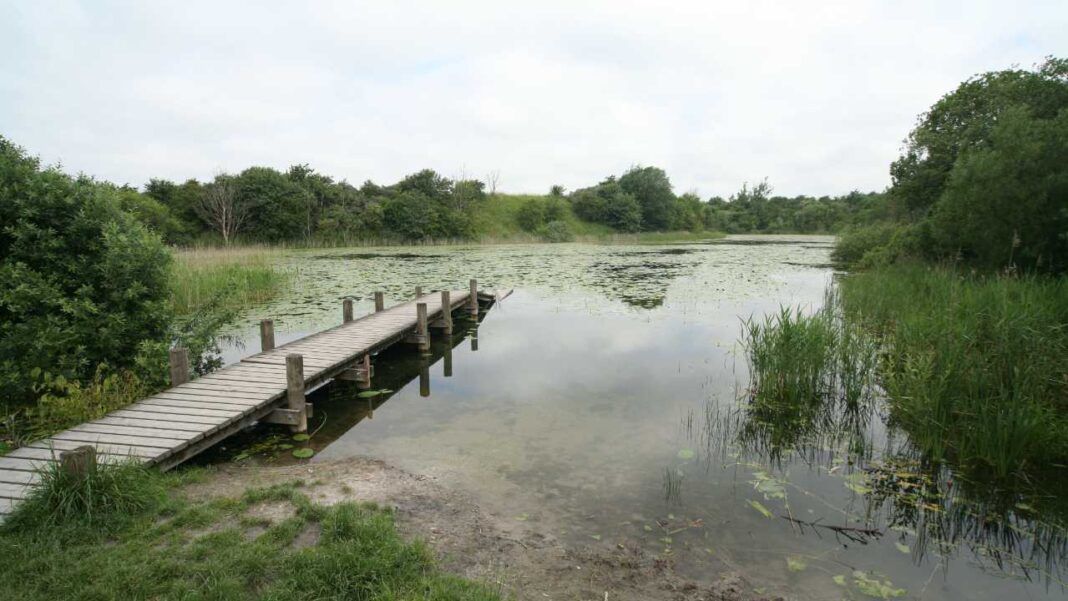These Strange Lakes May Be More Valuable Than We Realise, Scientists Warn These Strange Lakes May Be More Valuable Than We Realise, Scientists Warn
