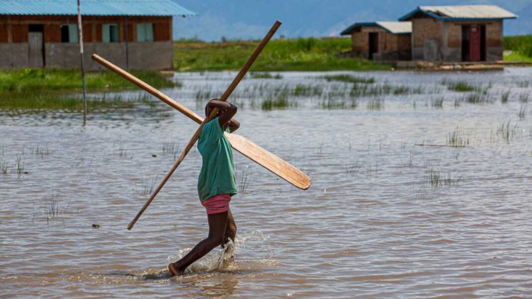 East Africa Braces for Growing Food-Security Pressures as El Niño Threatens Crops East Africa Braces for Growing Food-Security Pressures as El Niño Threatens Crops