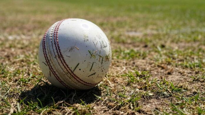 Sri Lanka Storms into Tri-Series Final with Dominant Win over Pakistan