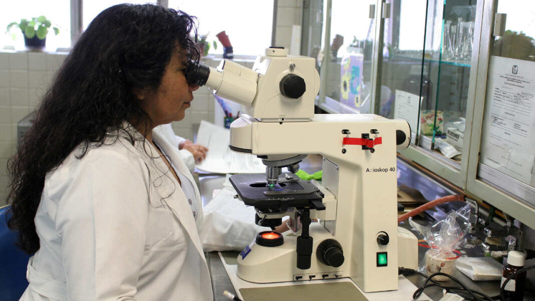 Scientists Develop Digital Tumours to Personalise Treatment for Aggressive Breast Cancer