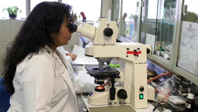 Scientists Develop Digital Tumours to Personalise Treatment for Aggressive Breast Cancer
