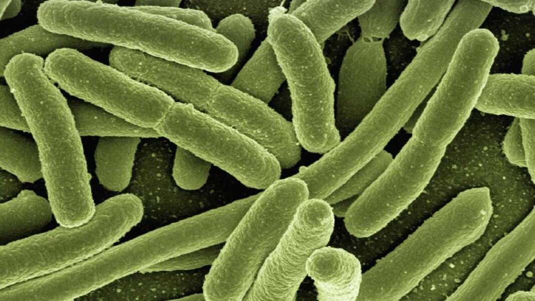 New Nanotechnology Detects Trace Bacteria in Under an Hour, Offering Hope for Faster Sepsis Diagnosis