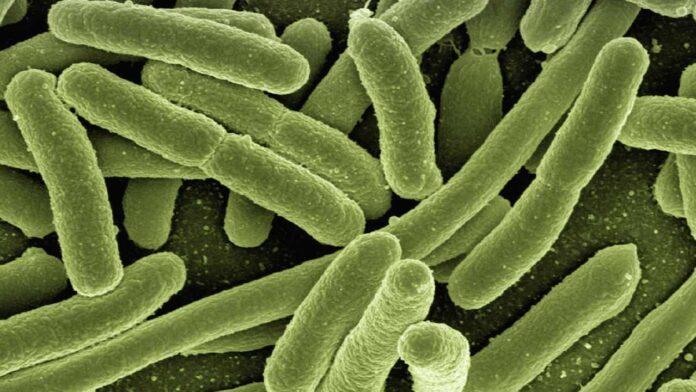 New Nanotechnology Detects Trace Bacteria in Under an Hour, Offering Hope for Faster Sepsis Diagnosis
