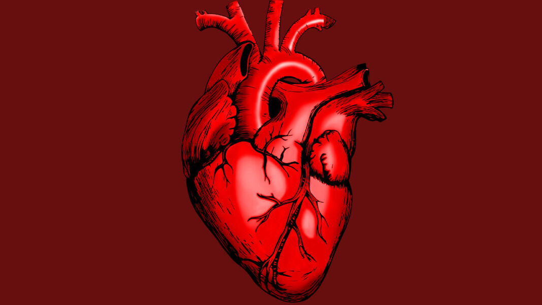 New Medical Robots Could Cut Heart Infection Treatment from Weeks to Hours